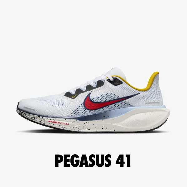 pegasus_41_img